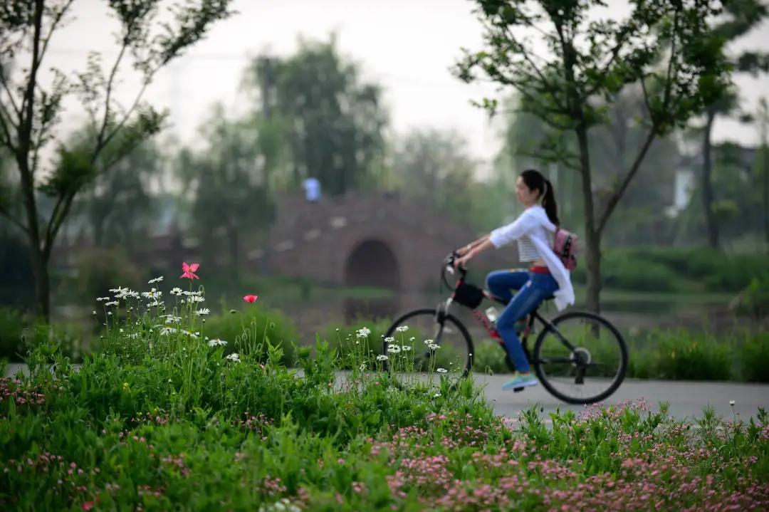 成都一座浪漫的城市,成都真是一个让人放松的城市
