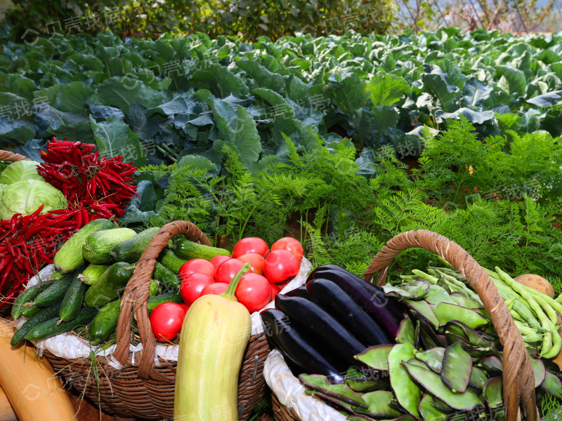 旅顺亿达云山府为什么便宜,大连亿达云山府值得买吗