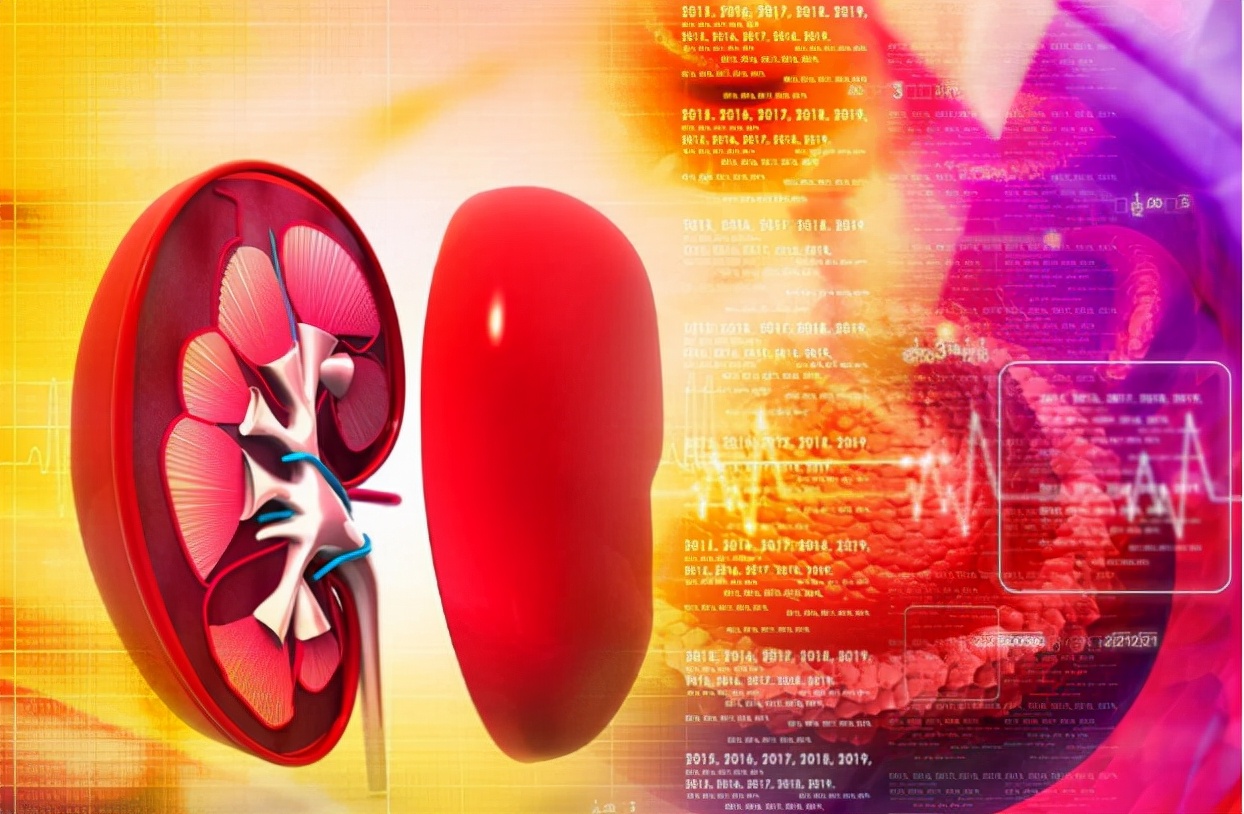 肾功能异常肌酐高治疗,肌酐多高可以诊断肾功能不全