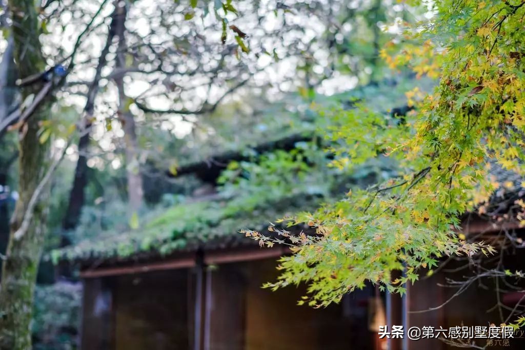 良渚古城遗址观感,厉害了良渚古城凭啥惊艳全世界