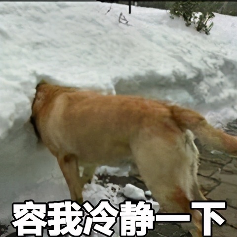 留学生回国海关行李怎么办,留学生行李被海关扣了怎么办