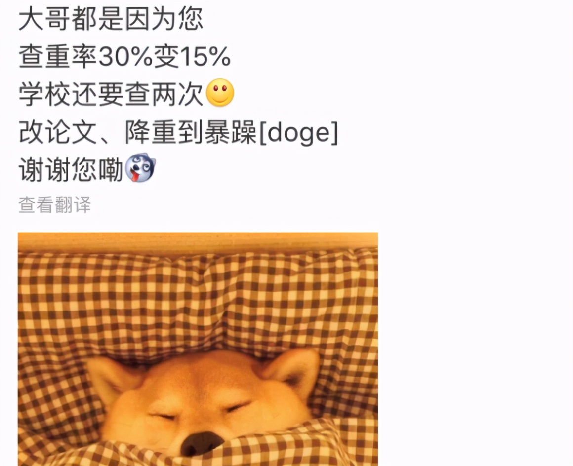 法学专业论文查重,不同专业毕业论文查重