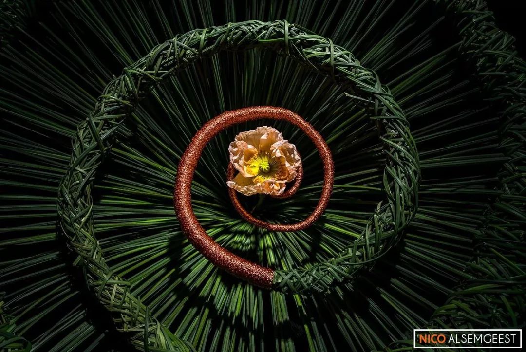 了不起的发明主题目标,了不起的发明主题环创