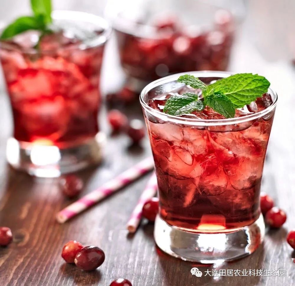 大连樱桃和其他产区樱桃口感区别,山东樱桃和大连樱桃哪个好