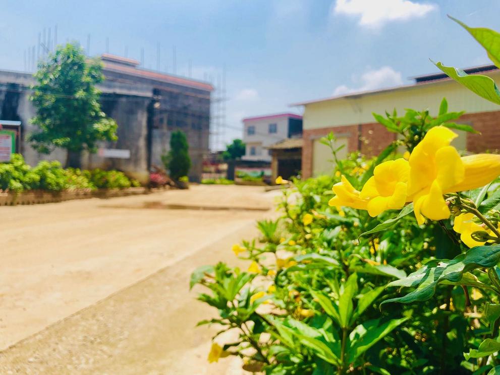 这个村子真美图片,村子里的风景真美