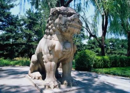 中国有没有舞狮和石狮子,中国没狮子为啥有石狮和舞狮