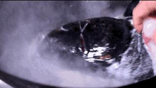 在合肥也能吃到地道的重口味,合肥好吃的鱼头1912