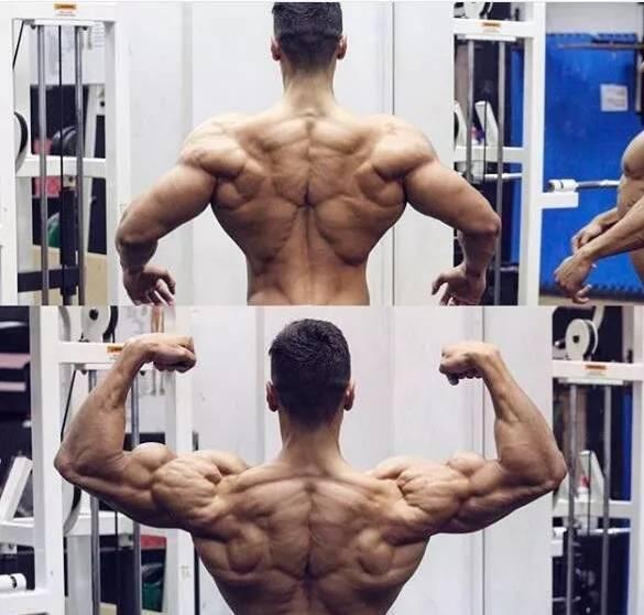 背肌进阶练习小朋友,背肌训练新手开始怎么练