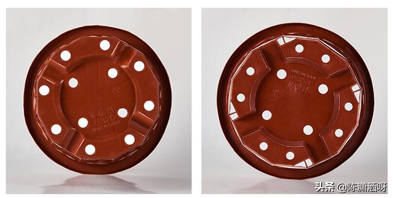 常见花卉花盆图片大全,各种花盆的优缺点图片介绍