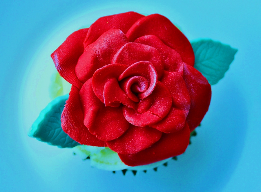 捷映|婚礼相册视频怎么做，让爱的记忆动起来