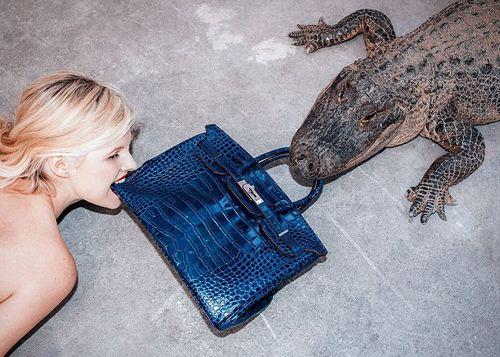 gucci最新奢侈品,gucci降价多少钱