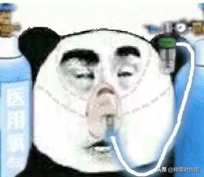 买贵的衣服好还是便宜的好,买贵衣服好吗