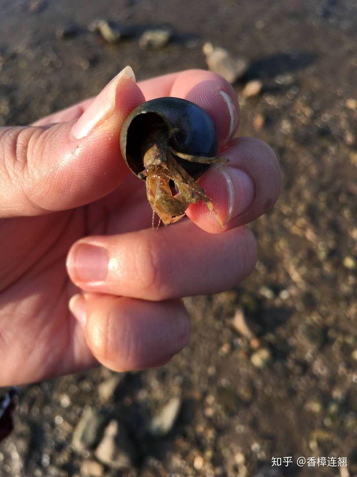 在大连生活怎么样,在大连生活十年是什么体验