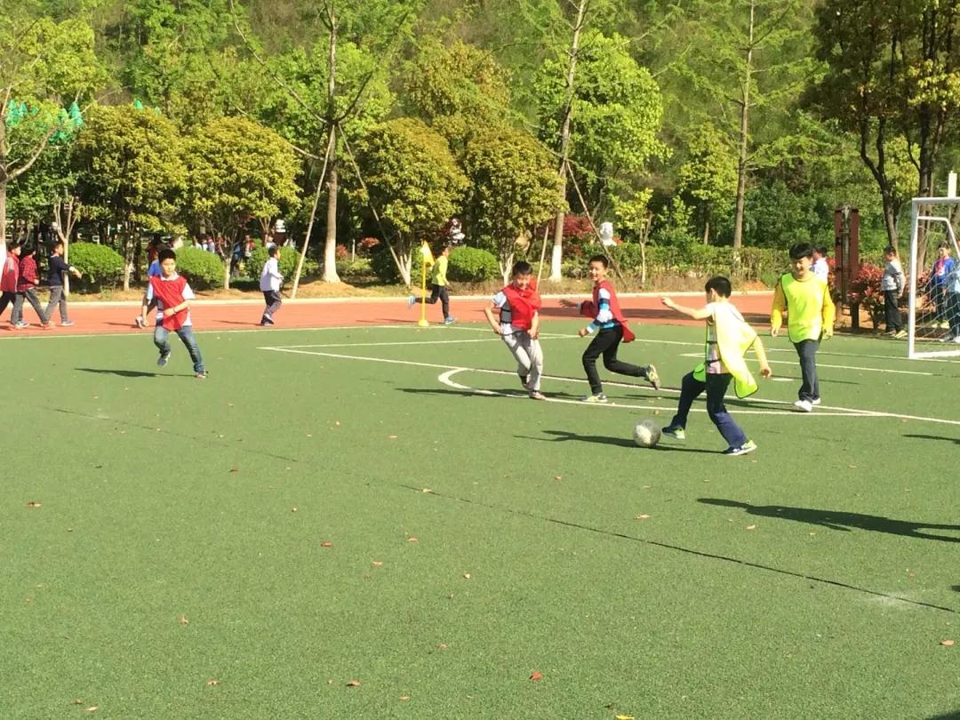 南京市金陵小学南京排名,南京市金陵小学2017