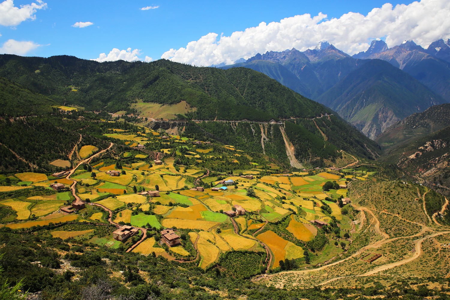 丰收快乐节,农民丰收节唱出丰收喜悦