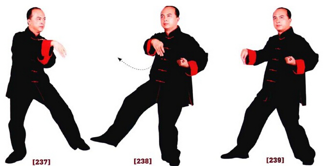 咏春拳入门十二散手,咏春拳标指教学视频