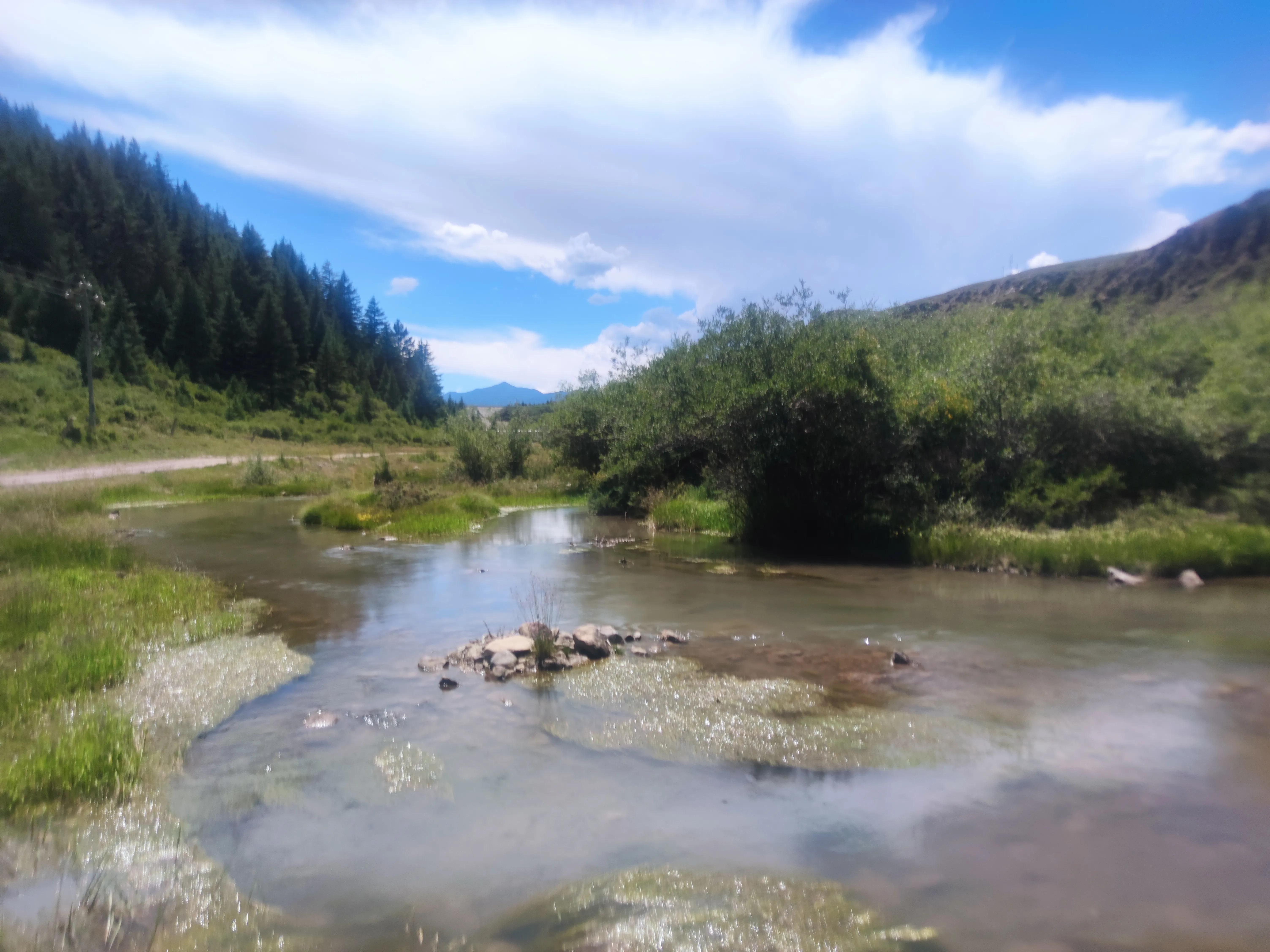 山丹军马场世界第一大军马场,山丹军马场适宜养马的原因