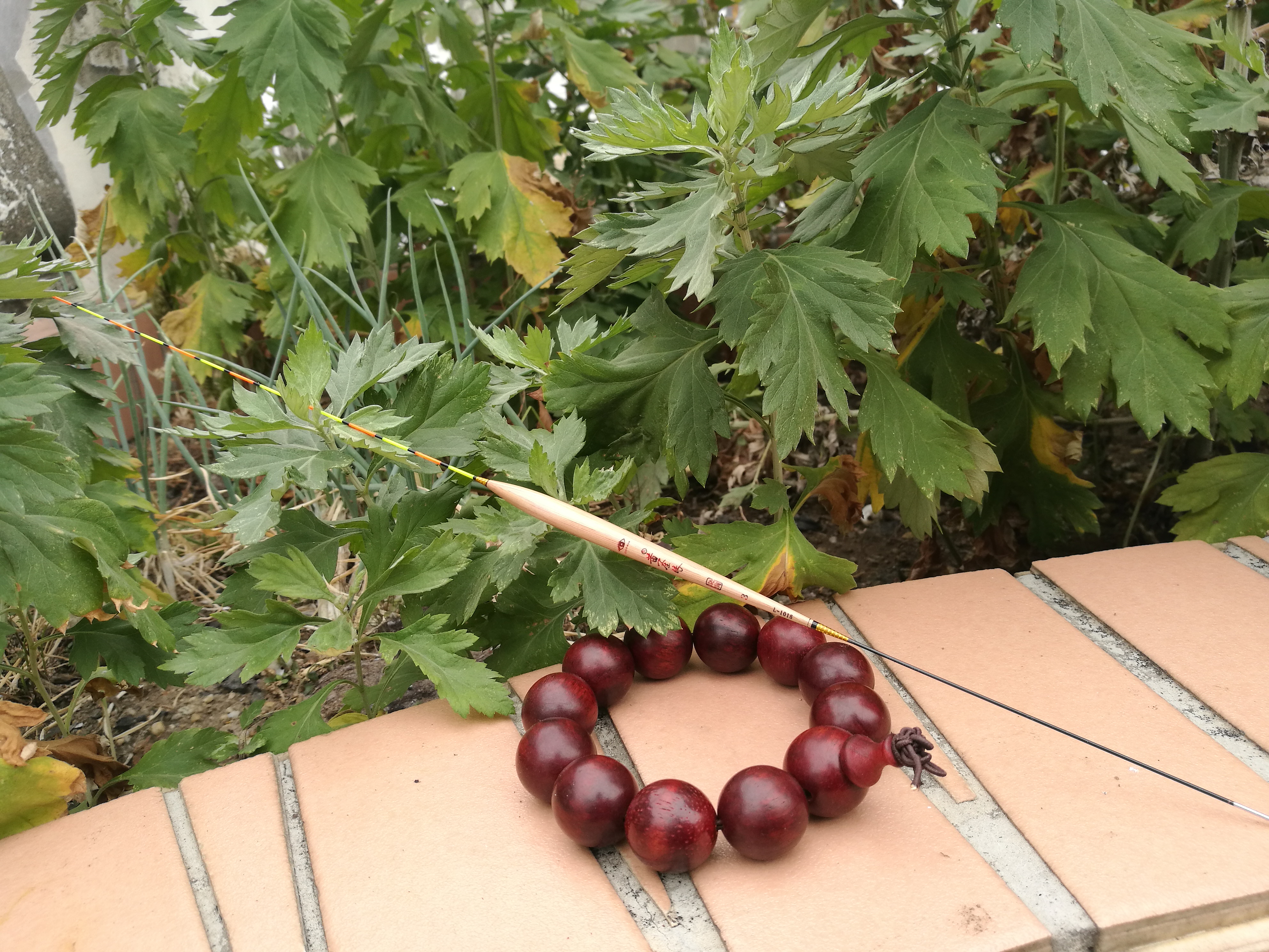 浮漂买了一大堆,最好用的浮漂推荐