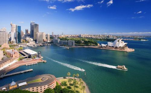 洋码头停车收费,洋码头停止运营