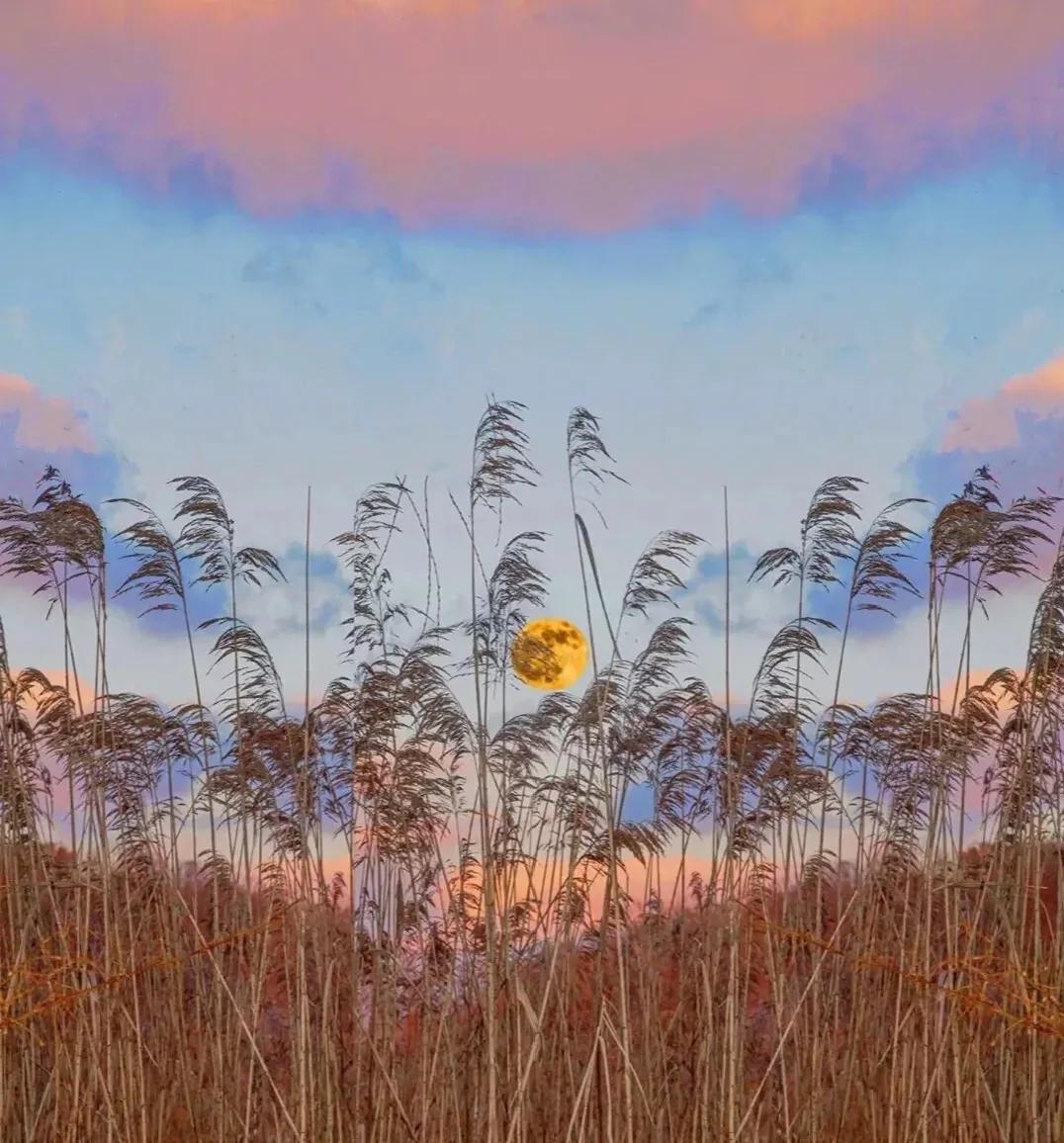 双十一加班发个朋友圈怎么说,双十一买书的文案朋友圈怎么发