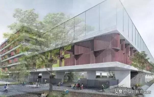 深圳福田小学与南园小学哪个好,深圳八一小学