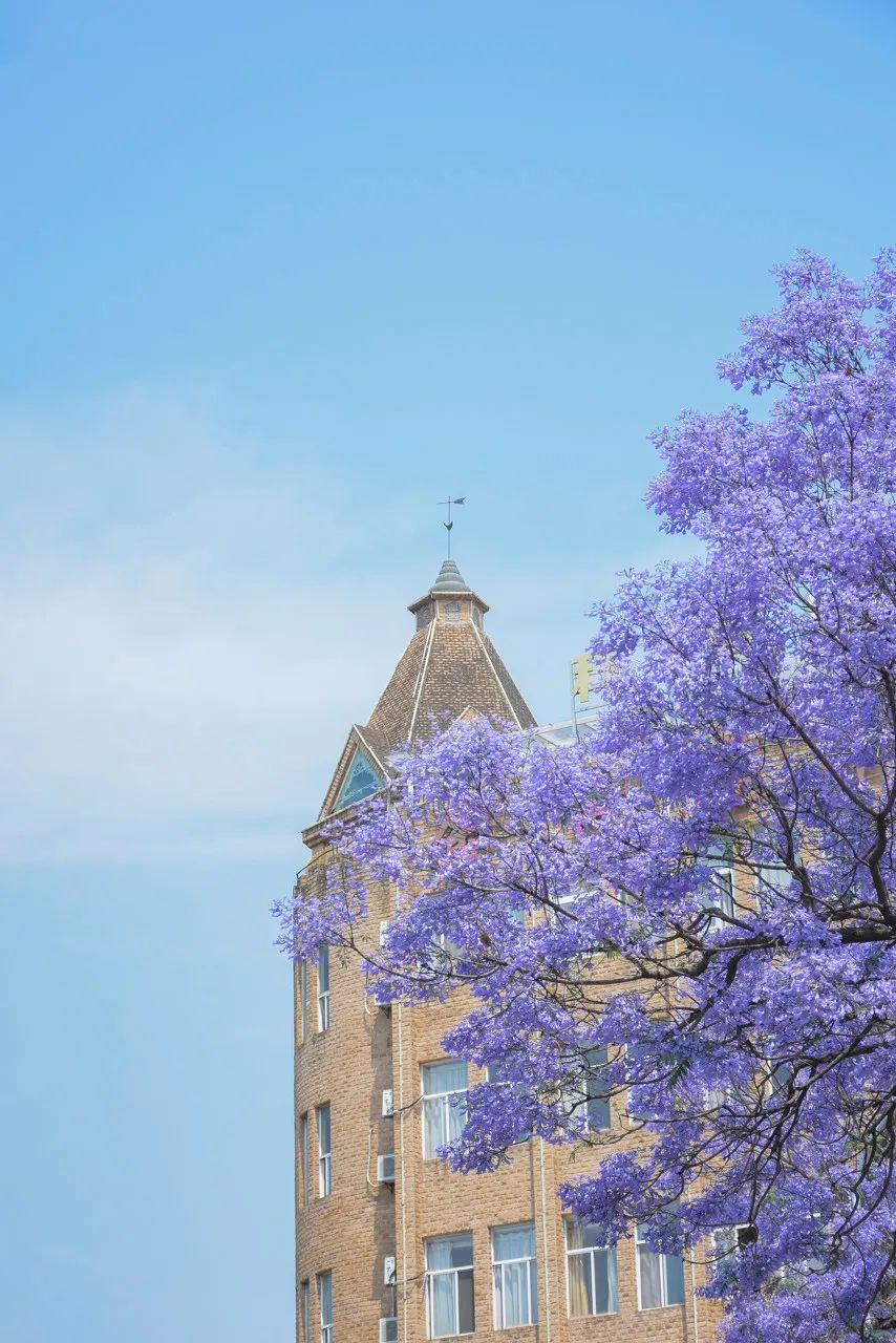 被大理丽江掩盖风头又怎样？它才是云南No.1！5月它太美了