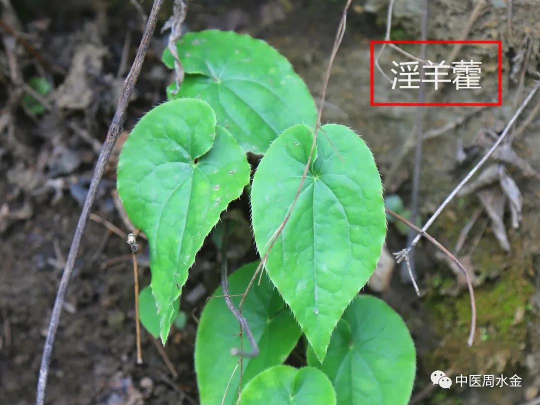 西医叫慢性肠炎中医叫什么,慢性肠炎看中医有效吗