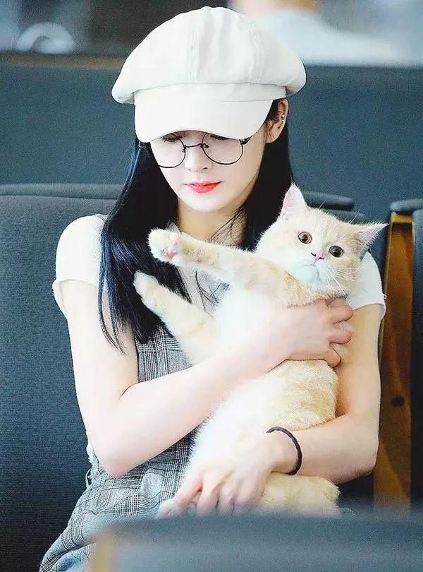 倪妮毛晓彤撞衫,倪妮毛晓彤红毯斗艳