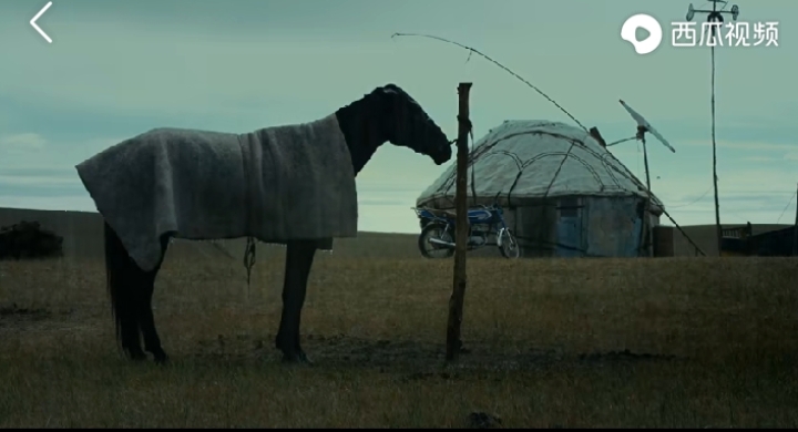 乌珠穆沁的孩子电影在线观看,乌珠穆沁的孩子怎么样