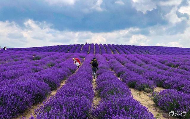 <html>
<head><title>502BadGateway</title></head>
<body>
<center><h1>502BadGateway</h1></center>
<hr><center>nginx</center>
</body>
</html>
<!--apaddingtodisableMSIEandChromefriendlyerrorpage-->
<!--apaddingtodisableMSIEandChromefriendlyerrorpage-->
<!--apaddingtodisableMSIEandChromefriendlyerrorpage-->
<!--apaddingtodisableMSIEandChromefriendlyerrorpage-->
<!--apaddingtodisableMSIEandChromefriendlyerrorpage-->
<!--apaddingtodisableMSIEandChromefriendlyerrorpage-->
