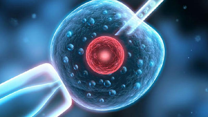 试管婴儿成功率怎么做才能提高,试管婴儿怎样提高成功率