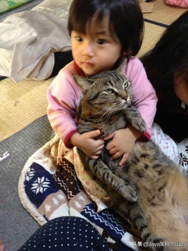 没头发有钱,没时间的同时还没钱