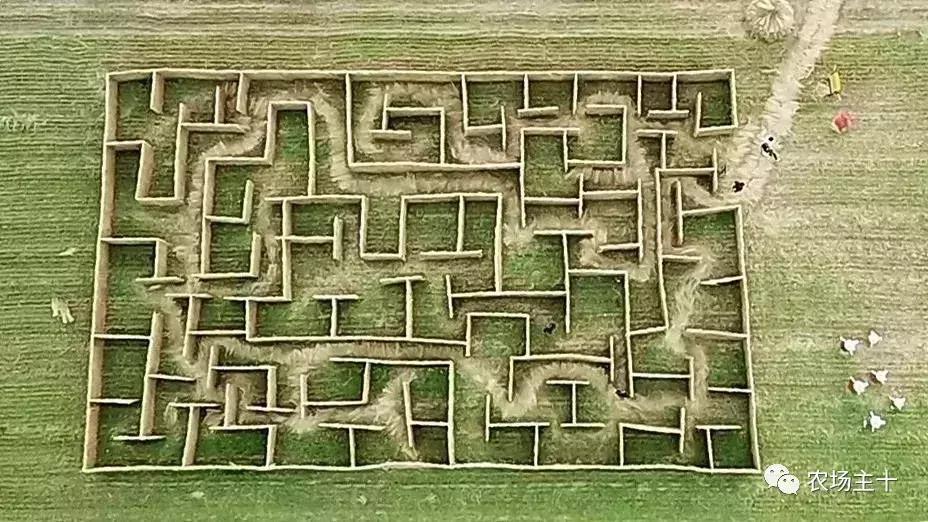 从零开始打造一个优质亲子农庄,从亏损近2亿到盈利35亿的逆袭