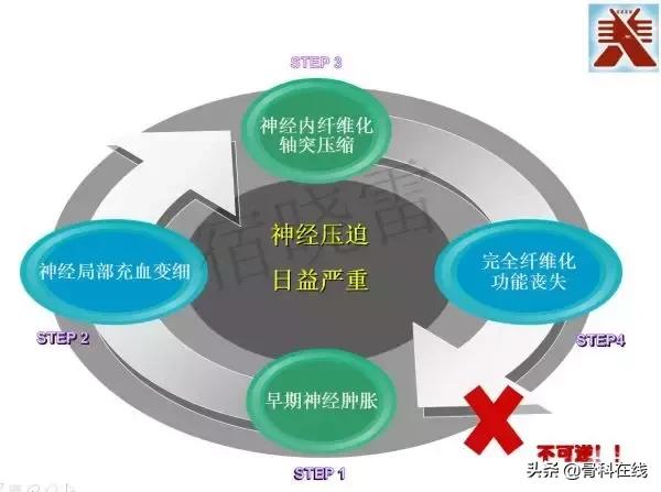 手绘科普类,手绘类科普