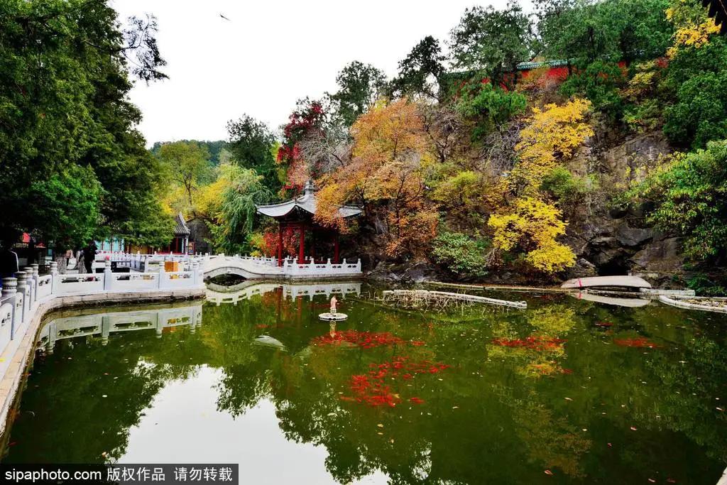 藏不住了!北京这些地方即将美出天际,你居然不知道?