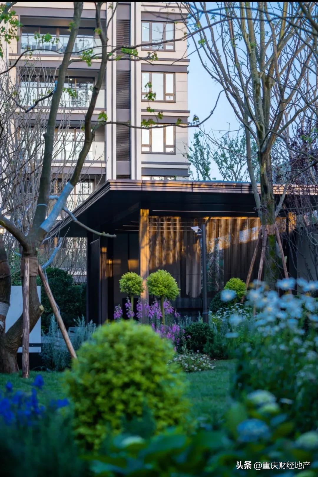 王盘对王盘！重庆楼市首次爆款巅峰对话