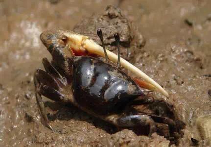 开海特价海鲜,开海的海鲜视频