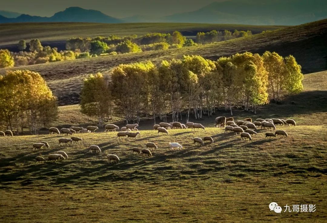 坝上草原天路美景,大美坝上风光系列之一