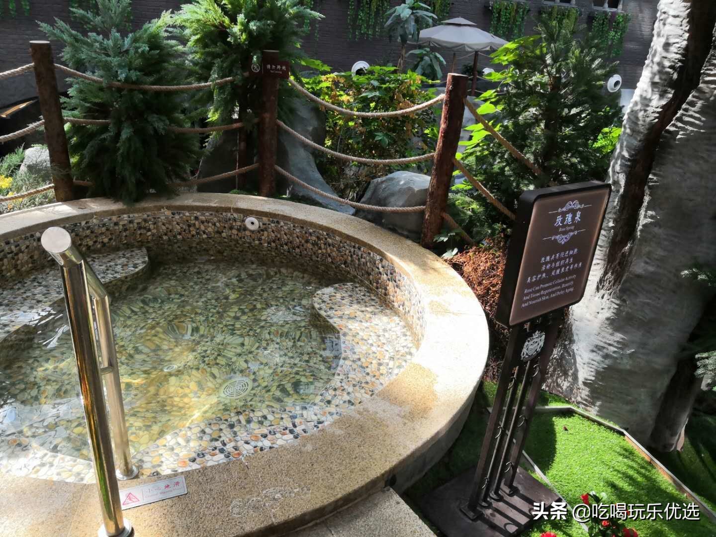 天津仁爱团泊湖温泉夏天,天津热带雨林主题温泉