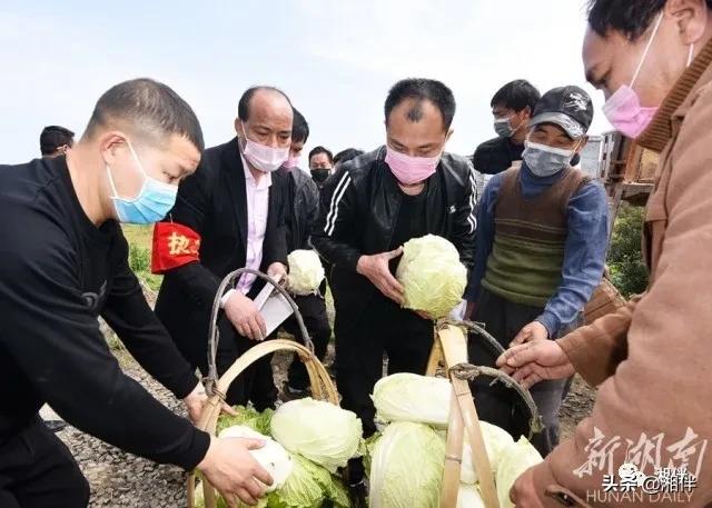看，点亮这个春天的那些“雷锋面孔”