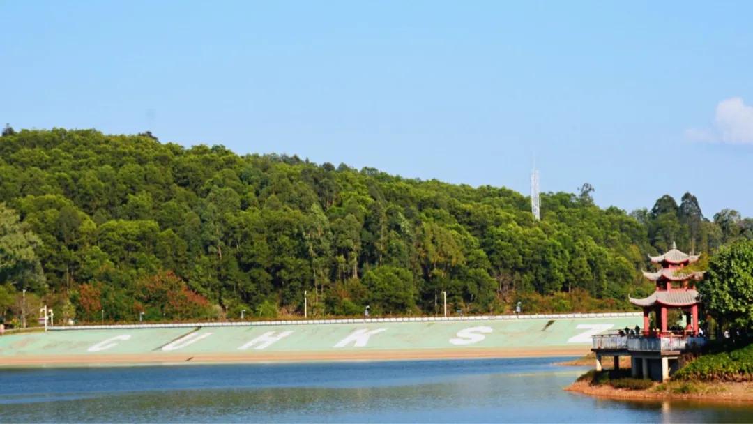 大运绿道跑步路线,大运公园绿道