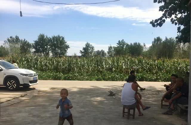 乡情散文田野情怀,最美乡村乡情散文