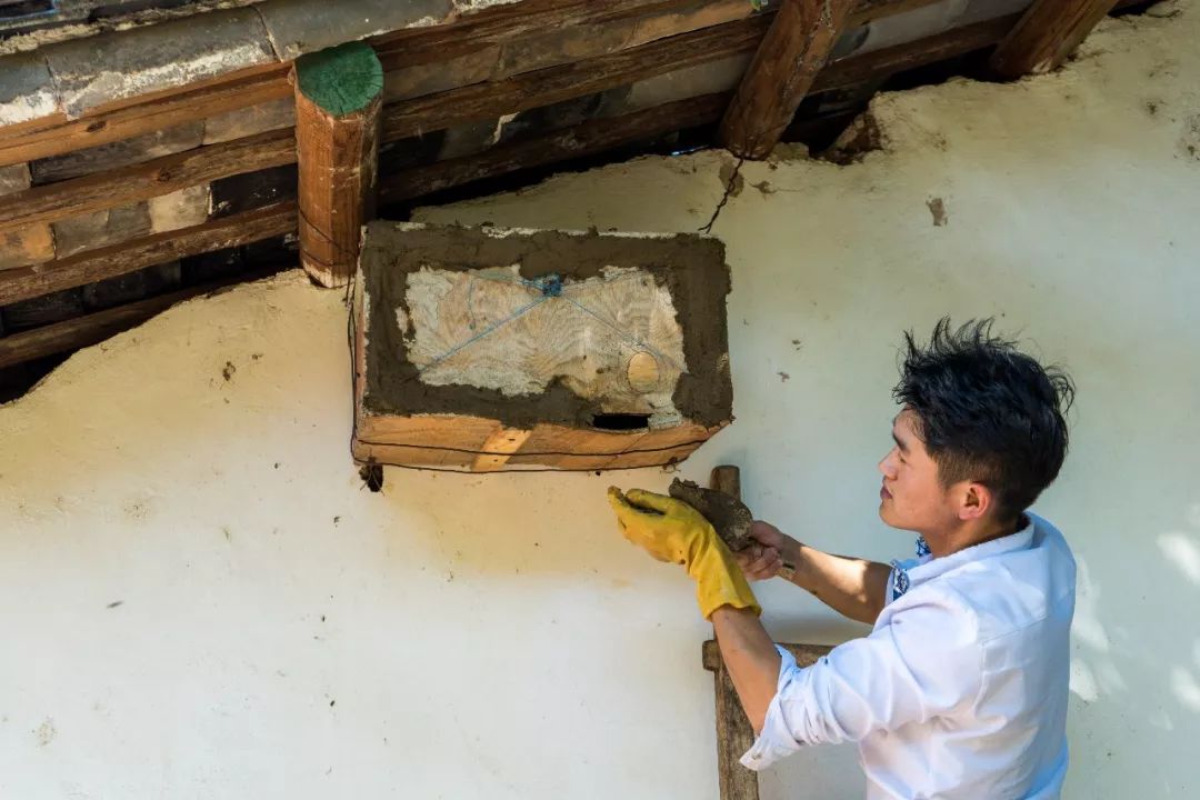 土蜂蜜取蜜全过程,土蜂蜜正确取蜜方法