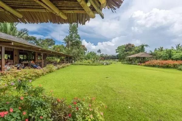 巴厘岛全部游玩攻略,巴厘岛吃住玩攻略大全