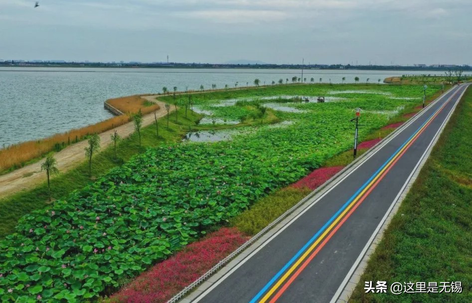 无锡网红打卡地彩虹跑道,无锡古运河健身步道