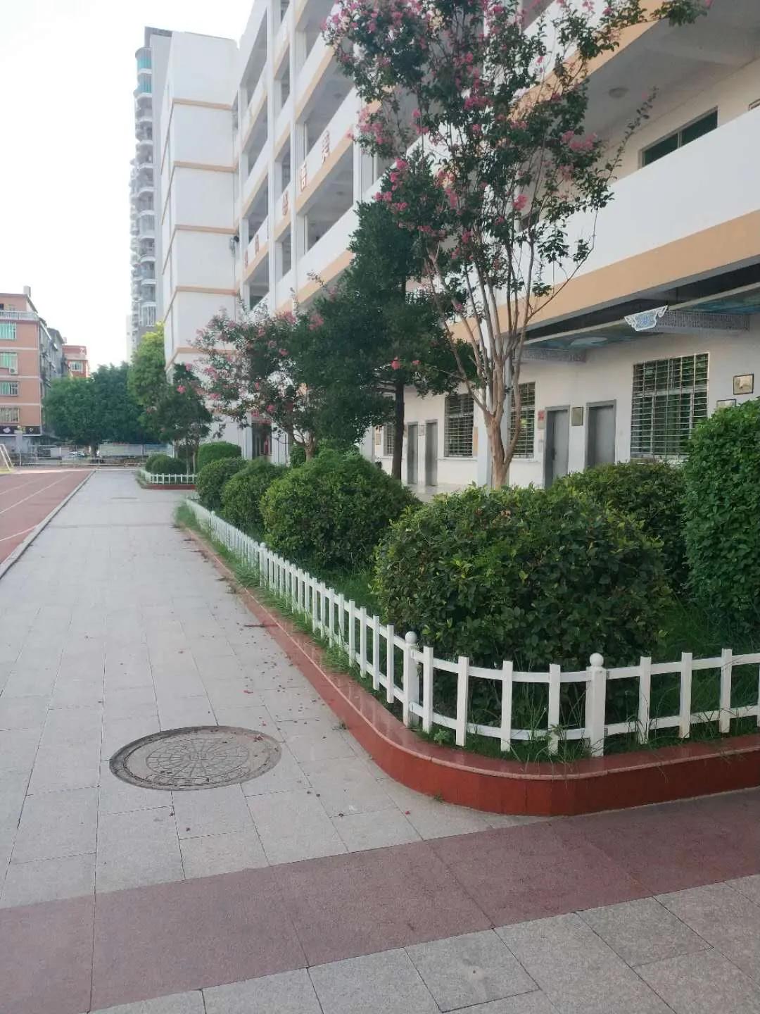 永春县桃溪实验小学2022年招生,永春县桃溪实验小学怎么样