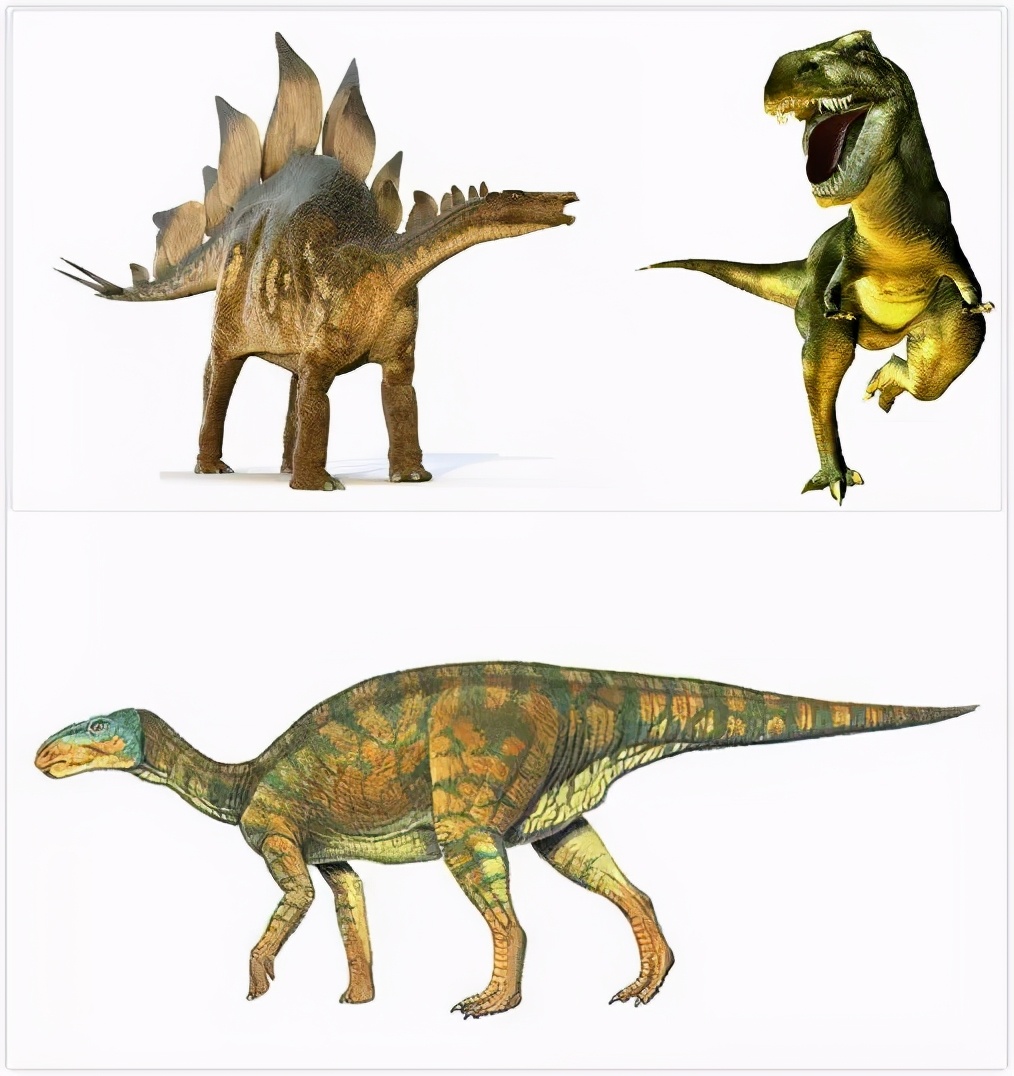 金刚和哥斯拉打最厉害的怪兽,金刚揍哥斯拉