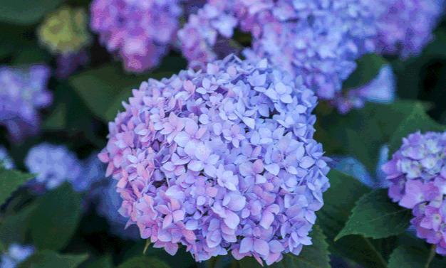 昆明周边一日游最值得去的地方,昆明周边一日游的地方推荐