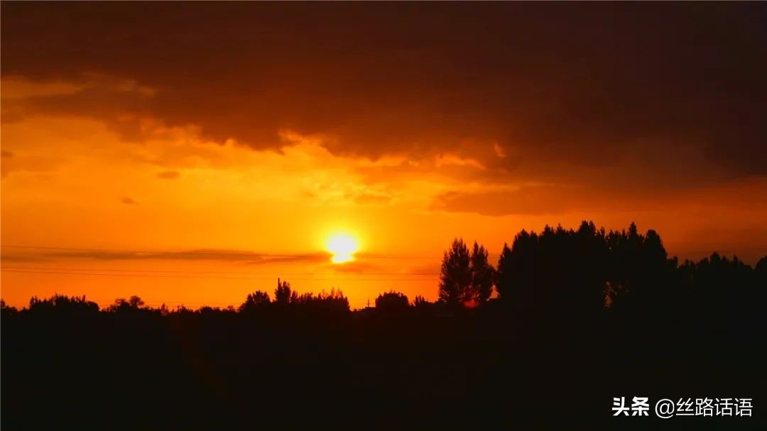 春暖花开等你来赏花,春暖花开等你来赏花原唱视频