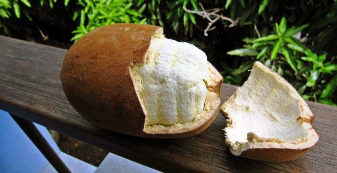 世上最奇特的水果你吃过几种呢,世界上最奇怪的水果是什么水果